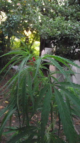 DSCF5865.JPG