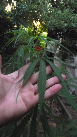 DSCF5866.JPG