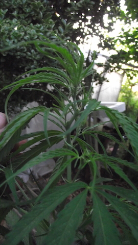DSCF5868.JPG
