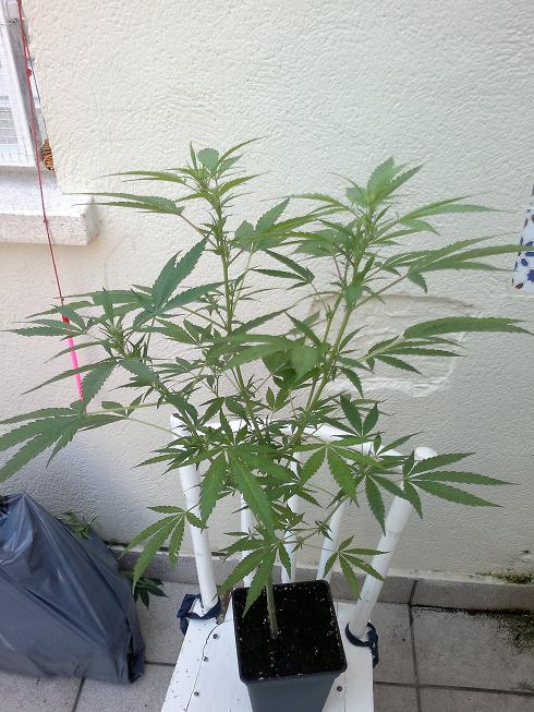22062011113.jpg