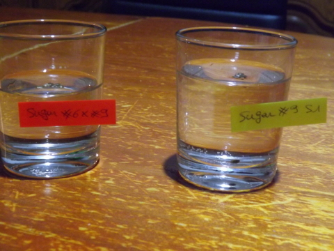 DSCF2091.JPG