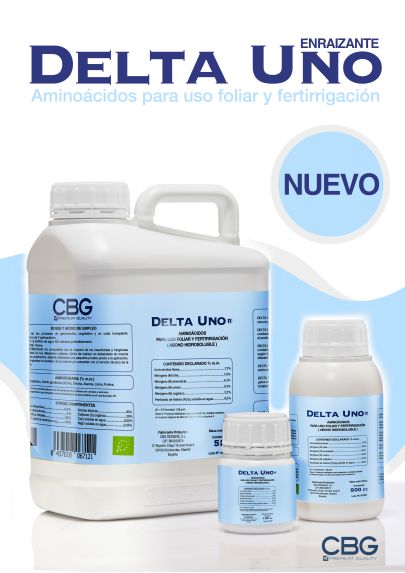 DELTA UNO WEB pequeña.jpg