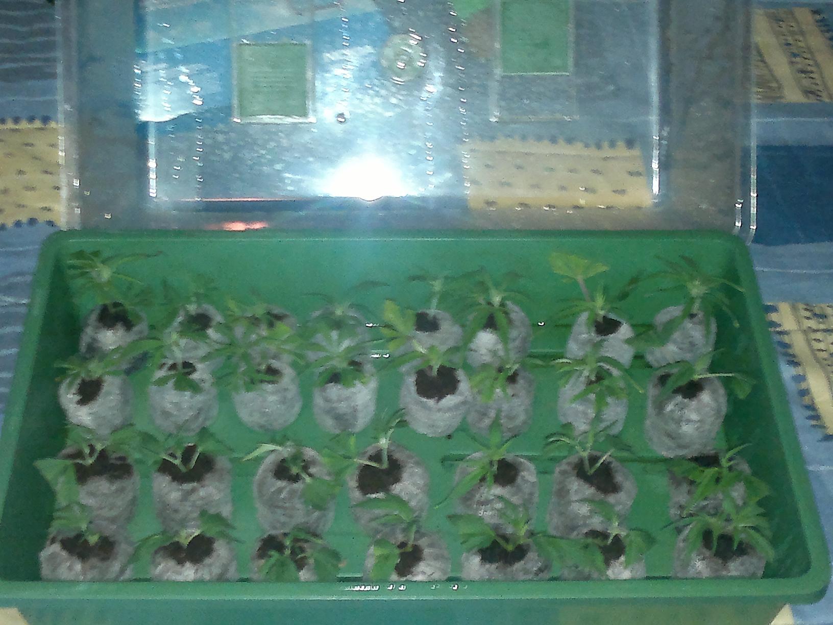 14012011019.jpg