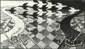 imagesCAHUYZQI.jpg