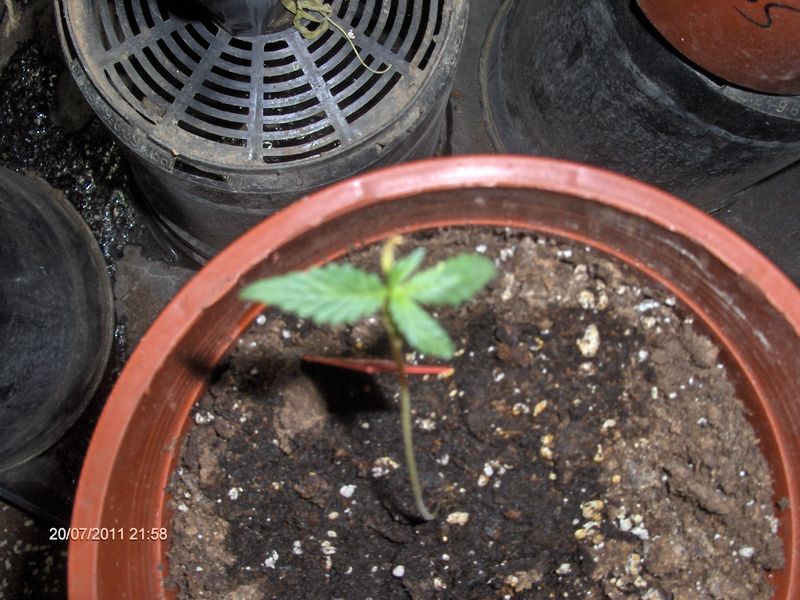 HPIM4208.JPG