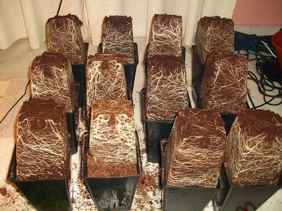 100_2760.JPG