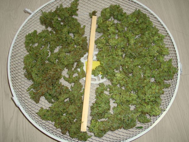 IMGP2121.JPG
