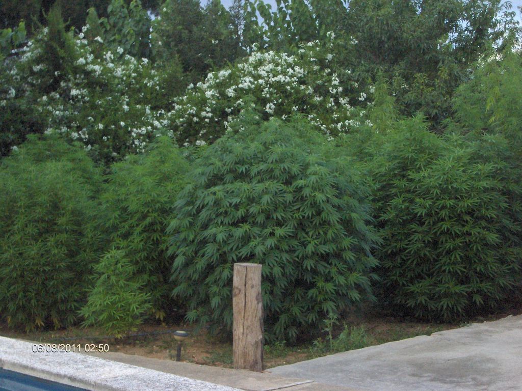 HPIM4271.JPG