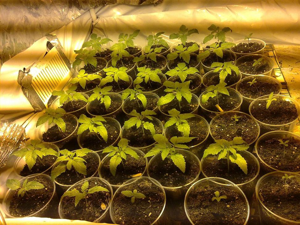 Copia de Imagen 002.jpg