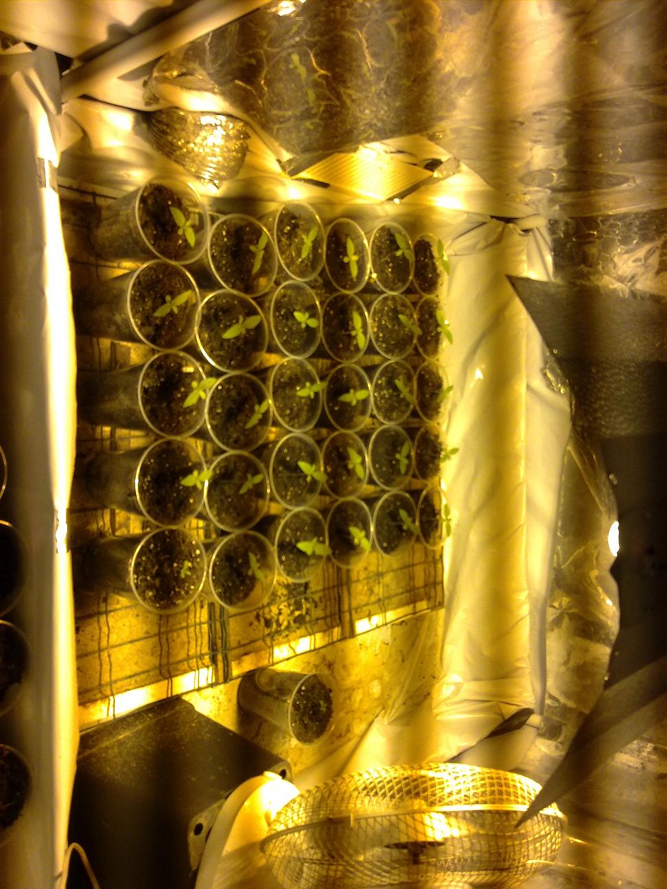 Copia de Imagen 001.jpg