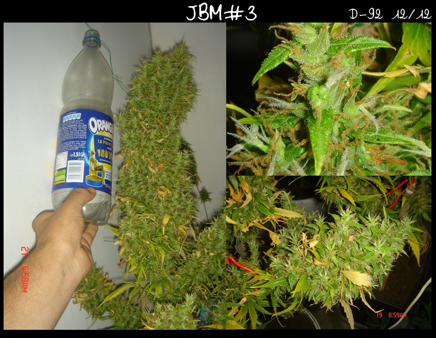 JBM3 diap.1.jpg
