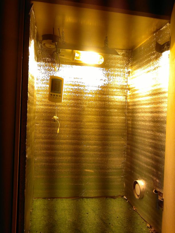 03022011084.jpg