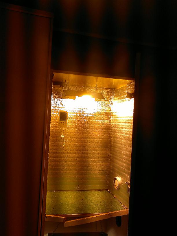 03022011085.jpg
