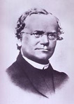 Mendel.jpg