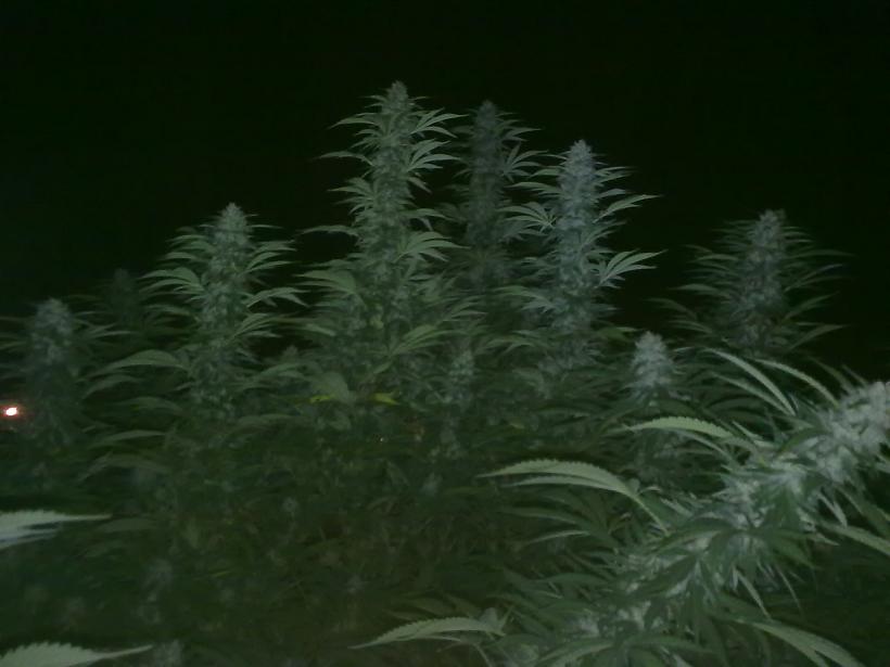 14092011296.jpg