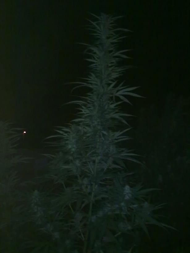 14092011292.jpg