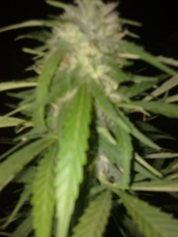 14092011298.jpg