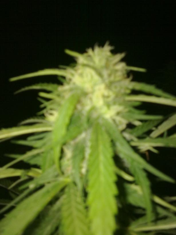 14092011299.jpg