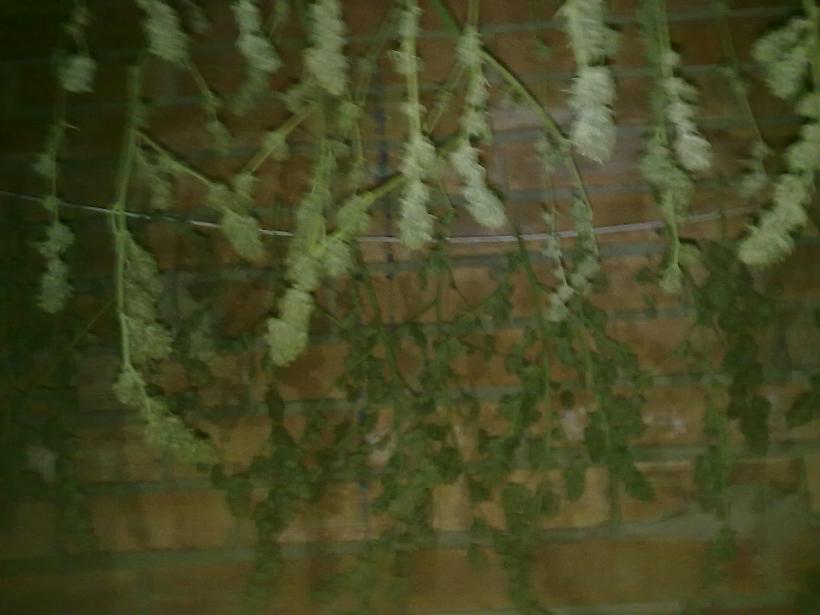 14092011290.jpg