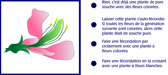 Capture exercice 1.PNG