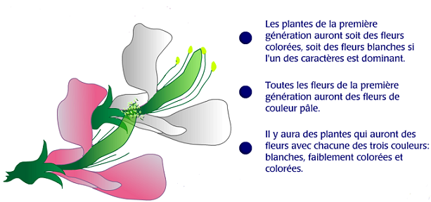 Capture exercice 2 suite.PNG