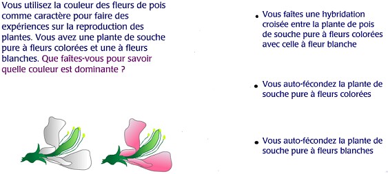 Capture exercice 3.PNG