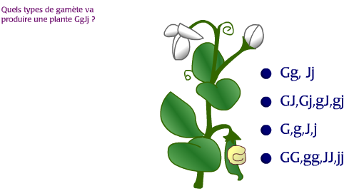 Capture exercice 4.PNG