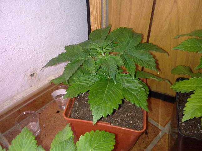 Copia de Imagen 030.jpg
