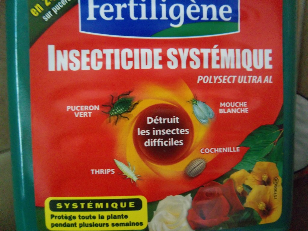 IMGP2090.JPG