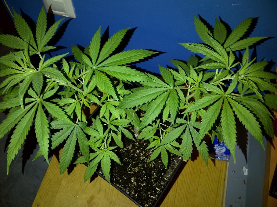 IMG-20111022-00083.jpg