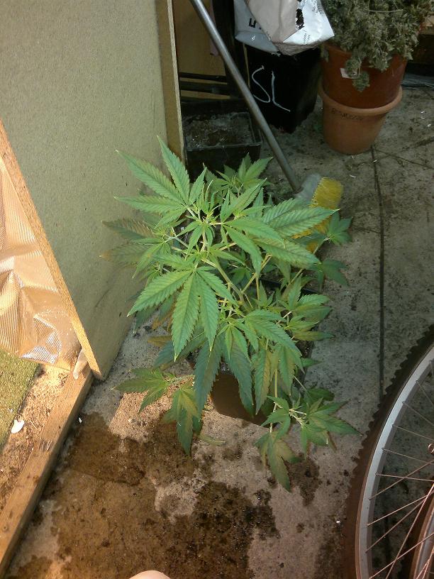 20022011097.jpg