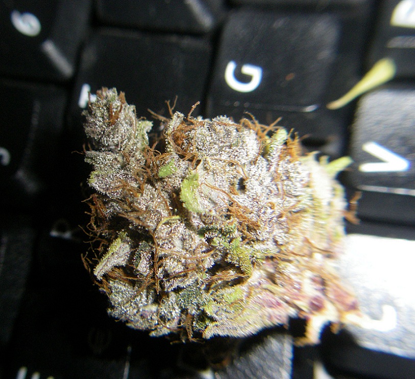 SmoSmo2.jpg