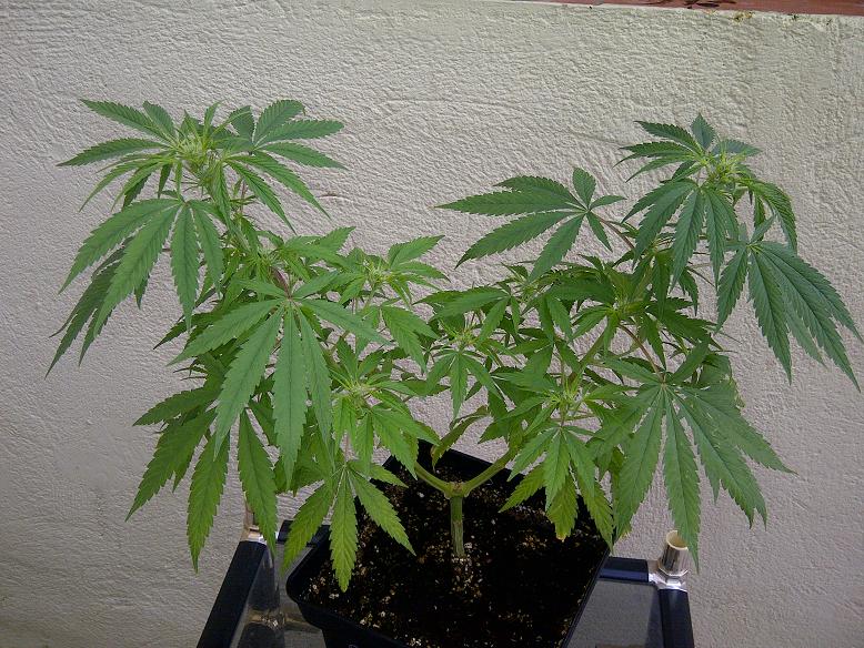 IMG-20111101-00111.jpg