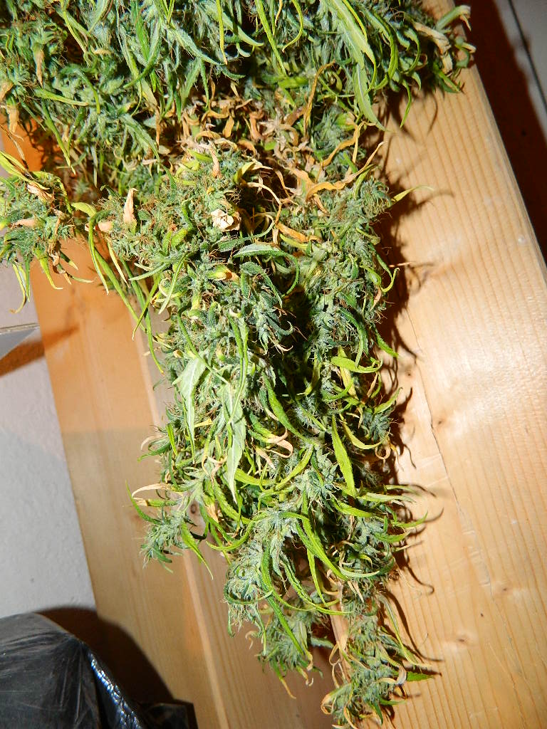 DSCN0187.JPG