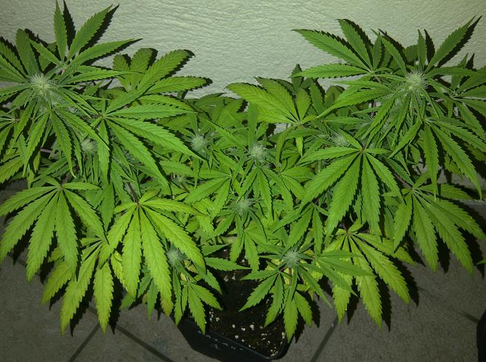IMG-20111114-00142.jpg