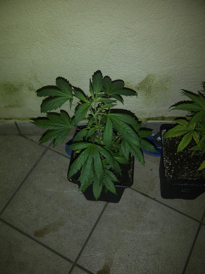 IMG-20111114-00138.jpg