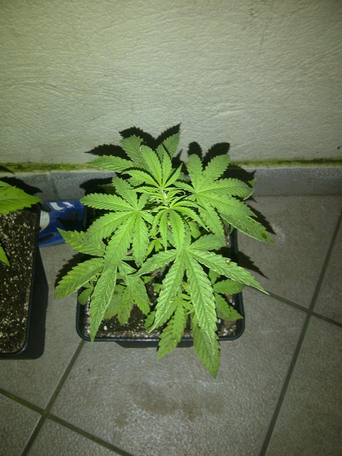 IMG-20111114-00140.jpg