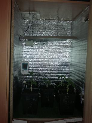 28022011102.jpg