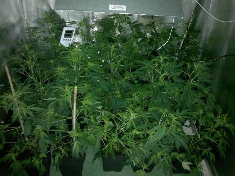 28022011114.jpg