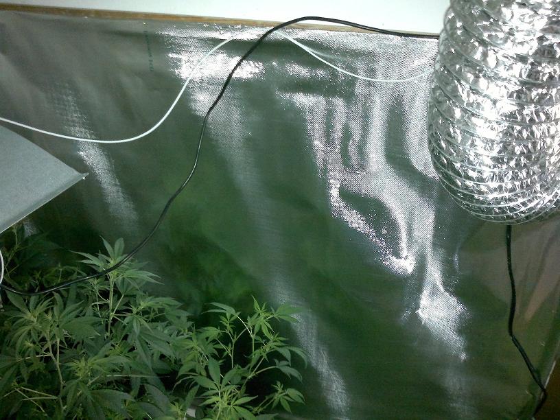 28022011115.jpg