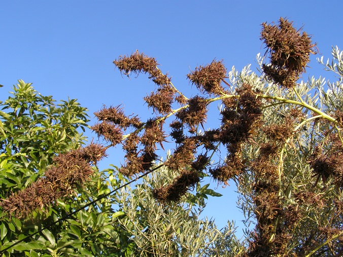 PC070247.JPG