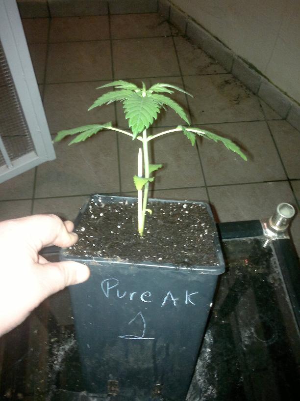 02032011123.jpg