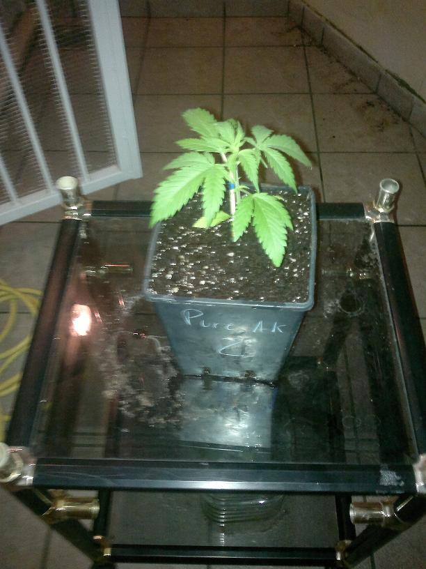 02032011125.jpg