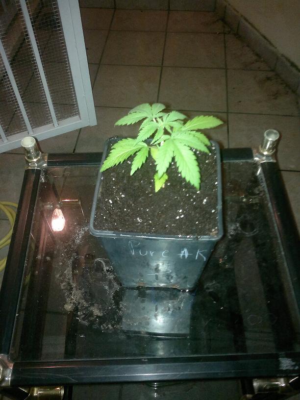 02032011127.jpg