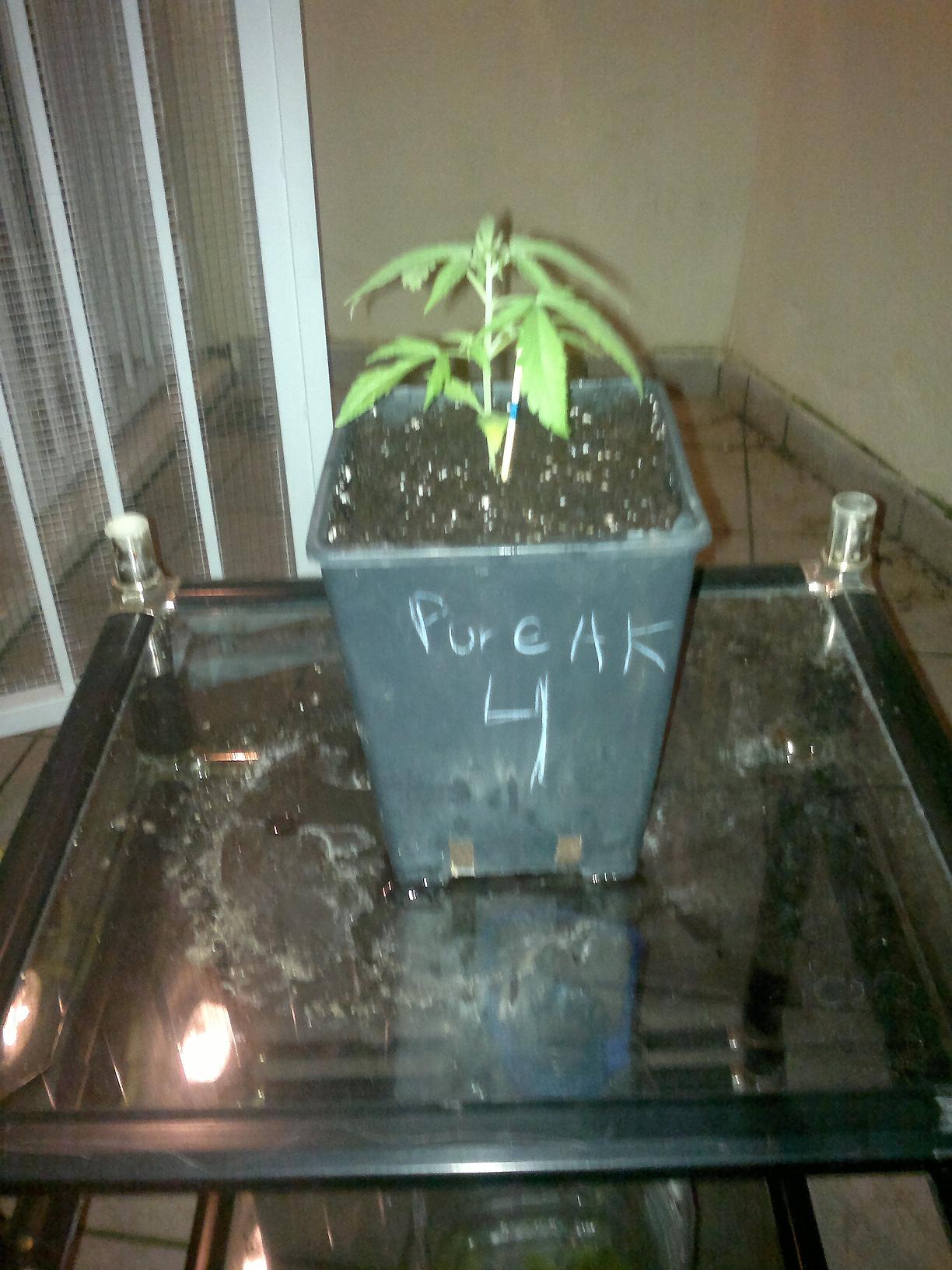 02032011128.jpg