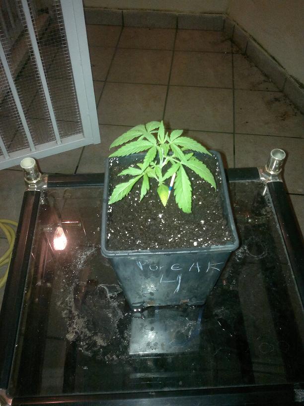 02032011129.jpg