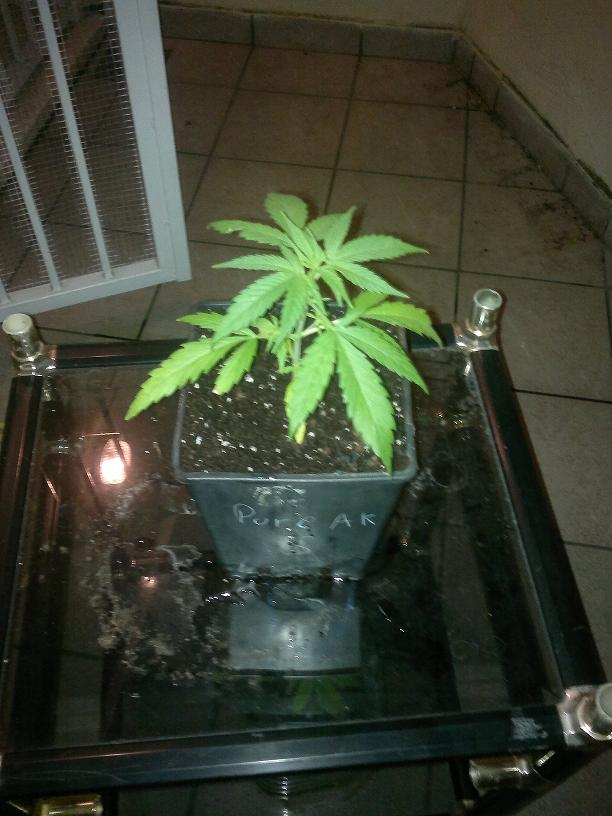 02032011131.jpg
