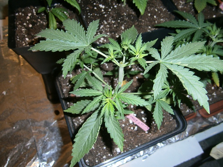 PC180034.JPG