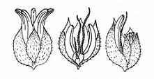 1249349158_5.jpg