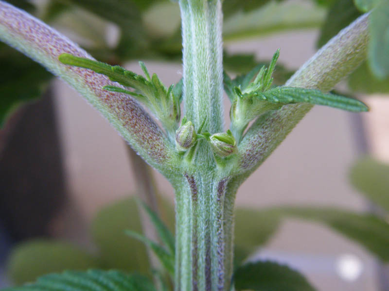 SCF7914.jpg